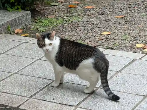 蔵前神社(東京都)
