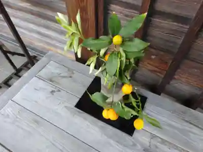 妙蓮寺(神奈川県)