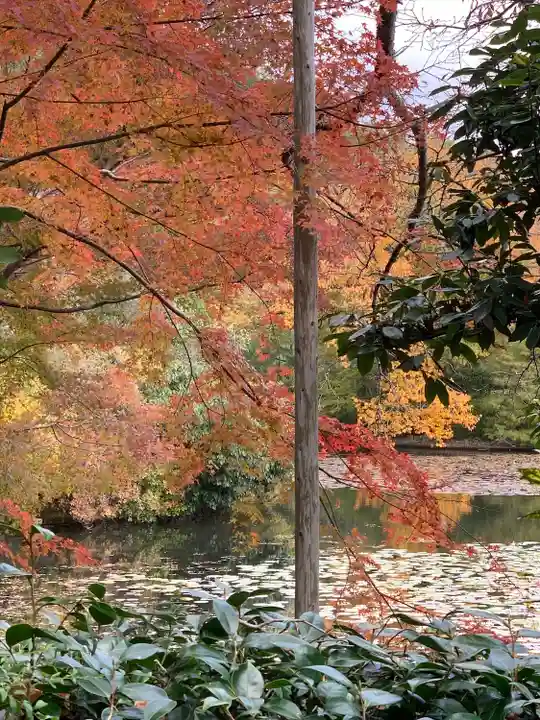 龍安寺(京都府)
