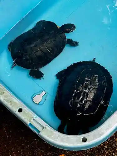涌谷神社(宮城県)