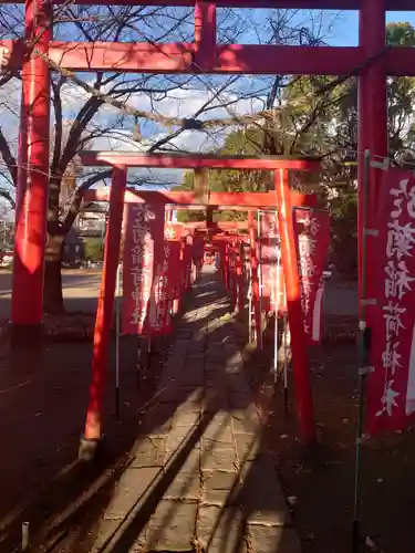 於菊稲荷神社の鳥居