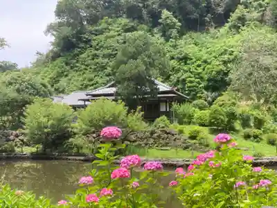 回春院(神奈川県)