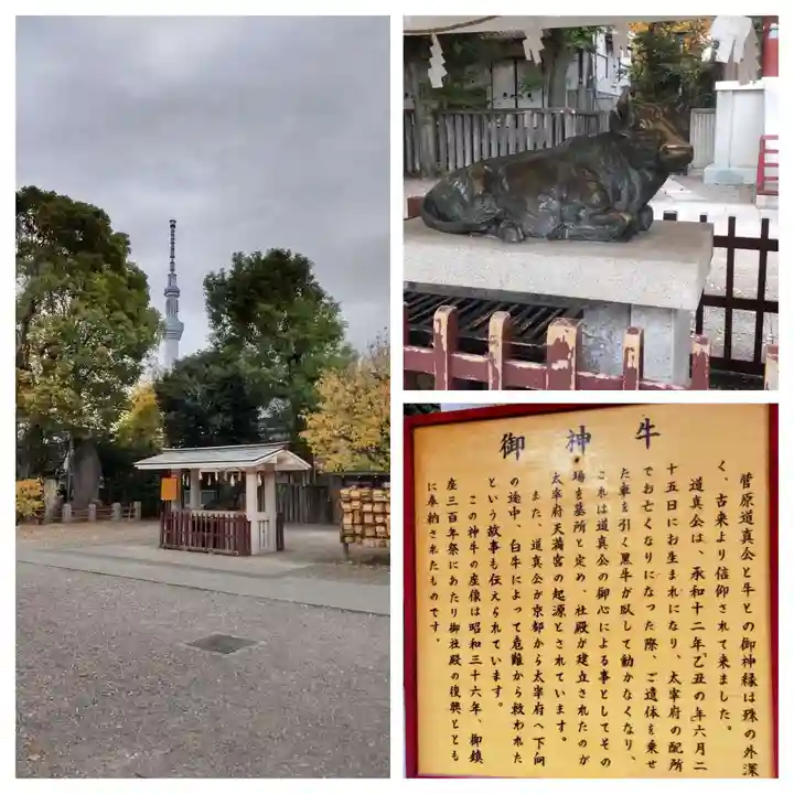 亀戸天神社(東京都)