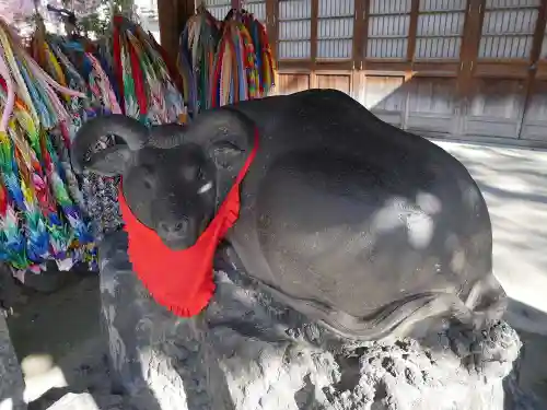 牛嶋神社の狛犬