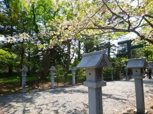 信濃神社の庭園
