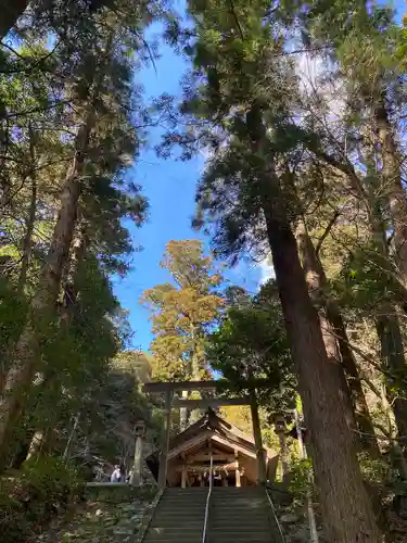 伊野天照皇大神宮の鳥居