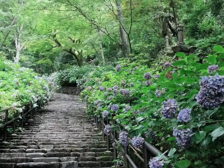 長谷寺(奈良県)