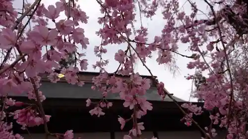 慈雲寺の建物その他