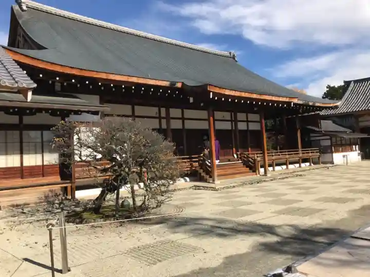 聖護院門跡の本殿・本堂