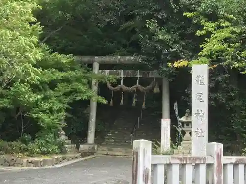 龍尾神社の鳥居