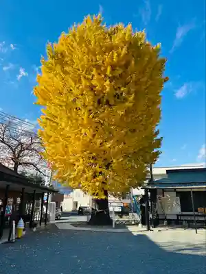 伊勢原大神宮(神奈川県)