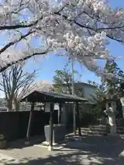 小石神社の手水