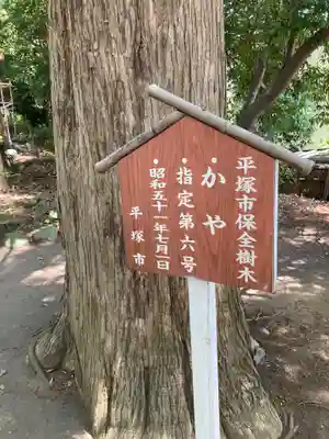 日枝神社の自然