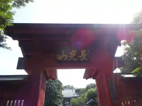 妙蓮寺の山門