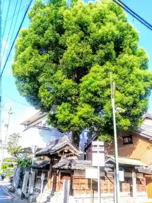 秋葉社（辻の秋葉社）のその他建物