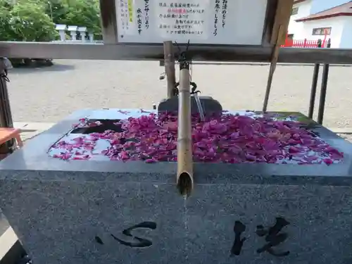 樽前山神社(北海道)