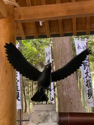 熊野本宮大社(和歌山県)