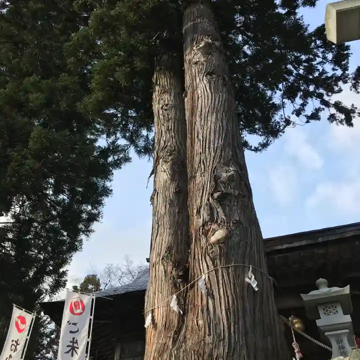 高司神社〜むすびの神の鎮まる社〜の自然