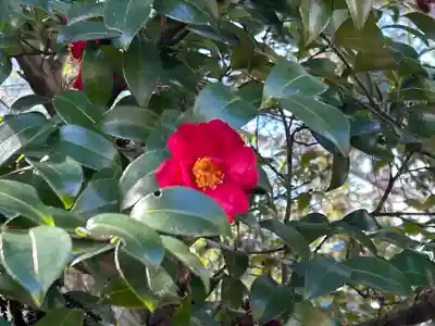 山梨縣護國神社(山梨県)