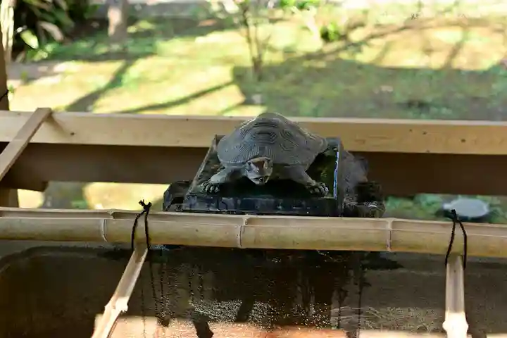 江島神社の手水舎