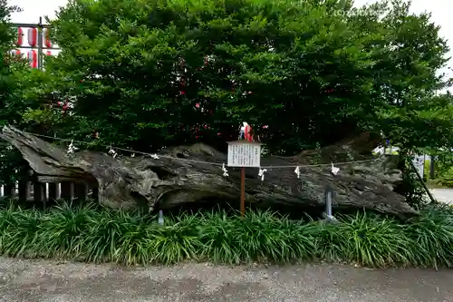 瀬戸神社の自然