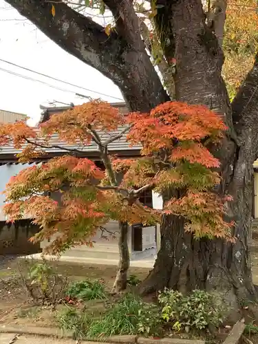 観音寺(千葉県)