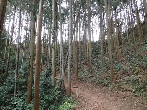 武蔵二宮 金鑚神社の自然