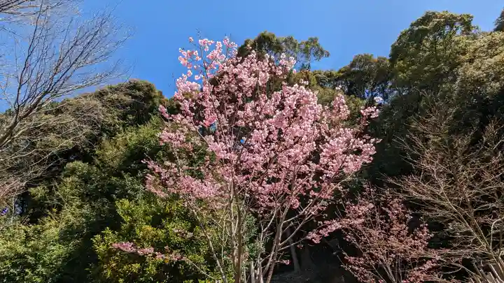 熊野若王子神社の自然