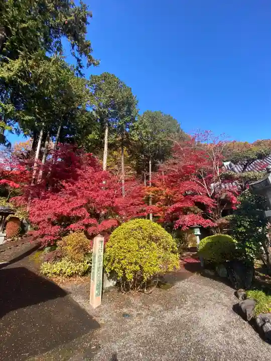 崇禅寺(群馬県)
