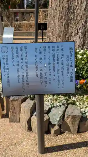 川越八幡宮(埼玉県)