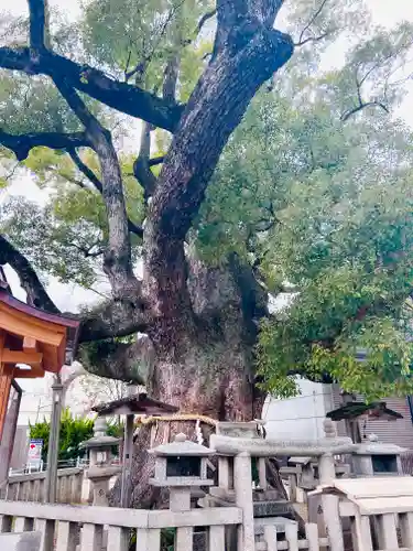 杭全神社(大阪府)