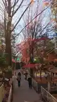 下総国三山 二宮神社の庭園