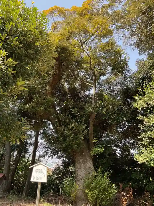 鹽江神社(中野)(愛知県)