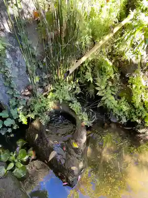大綱金刀比羅神社(神奈川県)