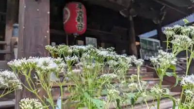 行願寺（革堂）(京都府)