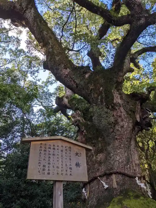 熱田神宮の自然