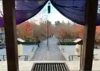 禅林寺(永観堂)の{uncategorized: "未分類", other: "その他", undefined: "問題あり", building: "その他建物", grave: "お墓", sacred_gate: "鳥居", guardian: "狛犬", statue: "像", buddha: "仏像", history: "歴史", nature: "自然", garden: "庭園", animal: "動物", pagoda: "塔", temizu: "手水舎", mountain_gate: "山門・神門", sanctuary: "本殿・本堂", subordinate: "末社・摂社", art: "芸術", scenery: "景色", jizo: "地蔵", ema: "絵馬", goshuin: "御朱印", omikuji: "おみくじ", items: "授与品その他", amulet: "お守り", goshuincho: "御朱印帳", eats: "食事", festival: "お祭り", votive_dance: "神楽", shichigosan: "七五三参", wedding: "結婚式", experience: "体験その他", initially: "初詣", around: "周辺", anti_infection: "感染症対策"}