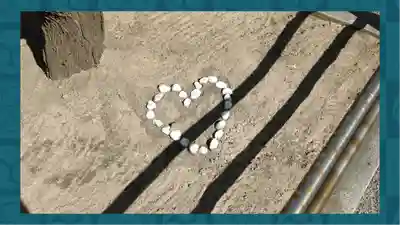 柏神社(千葉県)