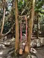 青島神社(青島神宮)の自然