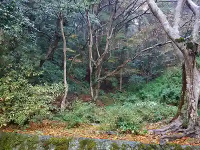 美保神社(島根県)