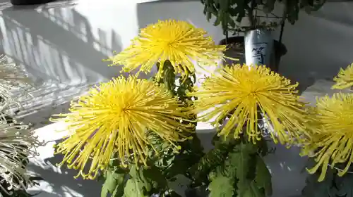 鹿島神宮(茨城県)