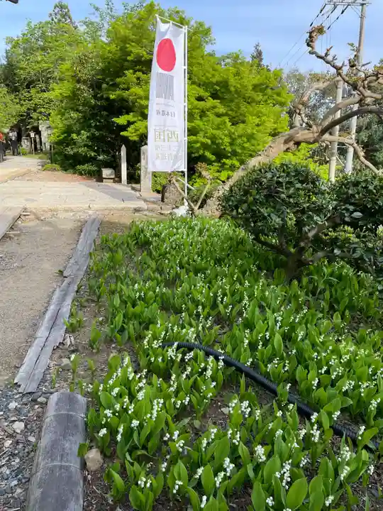 松尾寺(京都府)