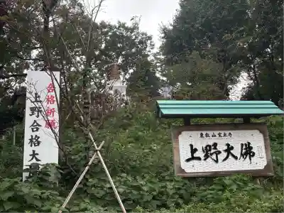 上野大佛(東京都)