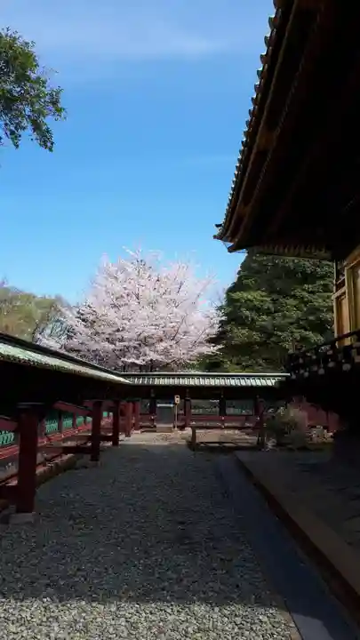 上野東照宮のその他建物
