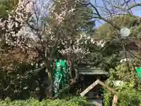 阿佐ヶ谷神明宮(東京都)