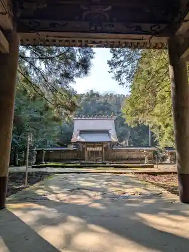 若狭彦神社（上社）の{uncategorized: "未分類", other: "その他", undefined: "問題あり", building: "その他建物", grave: "お墓", sacred_gate: "鳥居", guardian: "狛犬", statue: "像", buddha: "仏像", history: "歴史", nature: "自然", garden: "庭園", animal: "動物", pagoda: "塔", temizu: "手水舎", mountain_gate: "山門・神門", sanctuary: "本殿・本堂", subordinate: "末社・摂社", art: "芸術", scenery: "景色", jizo: "地蔵", ema: "絵馬", goshuin: "御朱印", omikuji: "おみくじ", items: "授与品その他", amulet: "お守り", goshuincho: "御朱印帳", eats: "食事", festival: "お祭り", votive_dance: "神楽", shichigosan: "七五三参", wedding: "結婚式", experience: "体験その他", initially: "初詣", around: "周辺", anti_infection: "感染症対策"}