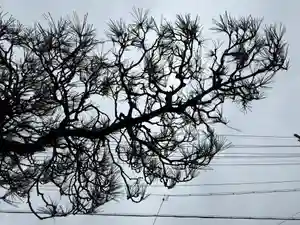 西方山極楽寺(岐阜県)(2026年02月27日(金) 17時58分34秒投稿)