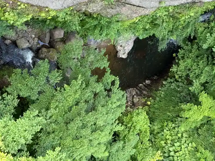 高龍神社(新潟県)