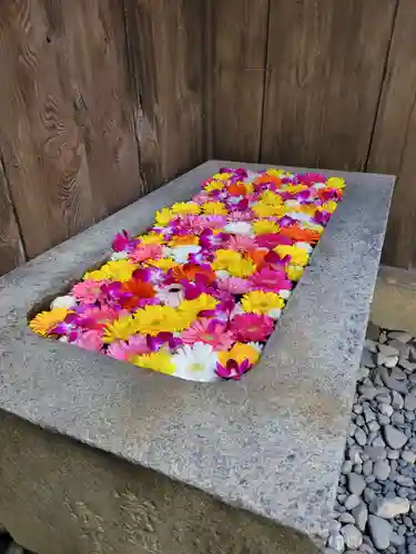 菅生神社(愛知県)