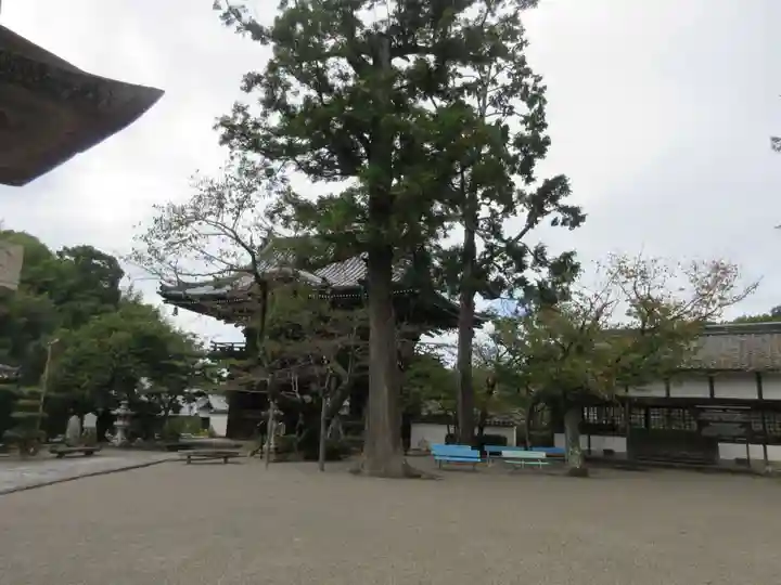 粉河寺(和歌山県)